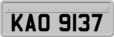 KAO9137