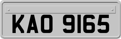KAO9165