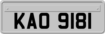 KAO9181