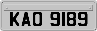 KAO9189