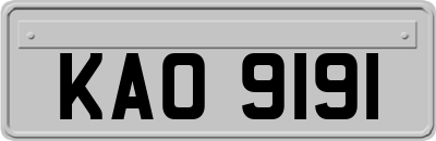 KAO9191
