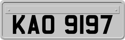 KAO9197