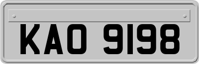 KAO9198