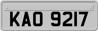 KAO9217