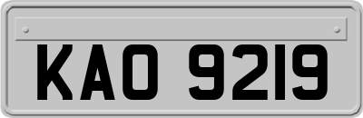 KAO9219