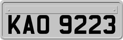 KAO9223