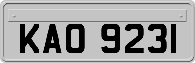 KAO9231