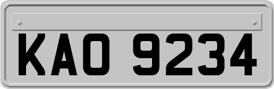 KAO9234