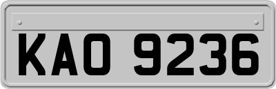 KAO9236