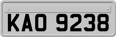 KAO9238