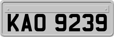 KAO9239