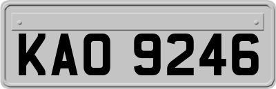 KAO9246