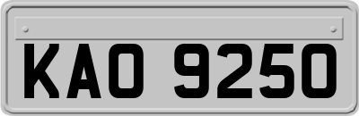 KAO9250