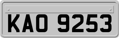 KAO9253