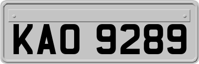 KAO9289