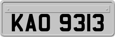 KAO9313