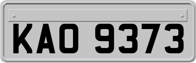 KAO9373