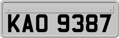 KAO9387