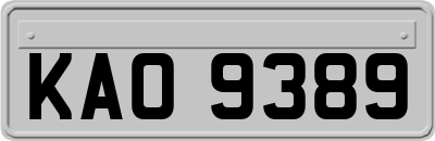 KAO9389