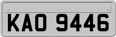 KAO9446