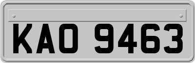 KAO9463
