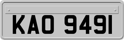 KAO9491