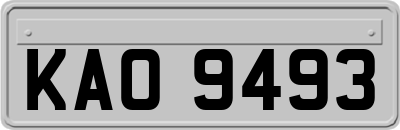 KAO9493