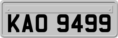 KAO9499