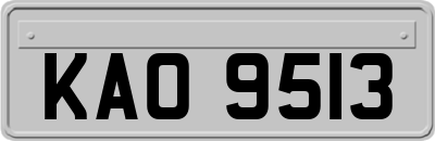 KAO9513