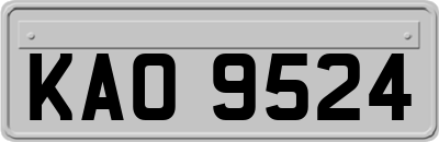 KAO9524