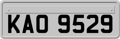 KAO9529
