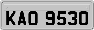 KAO9530