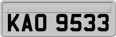KAO9533