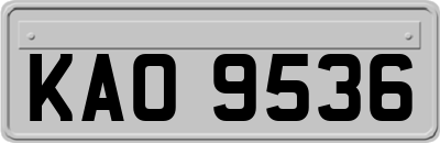 KAO9536