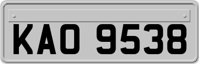 KAO9538