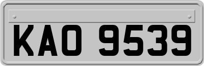 KAO9539