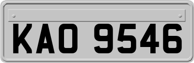 KAO9546