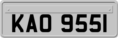 KAO9551