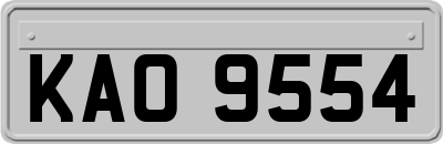 KAO9554