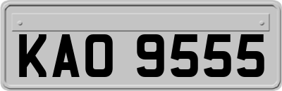 KAO9555