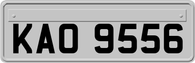 KAO9556