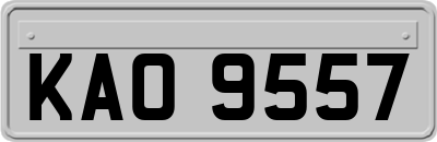 KAO9557