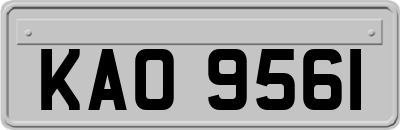 KAO9561
