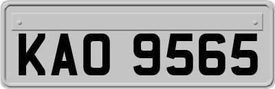 KAO9565