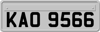 KAO9566
