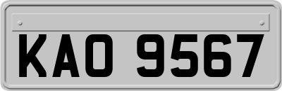 KAO9567