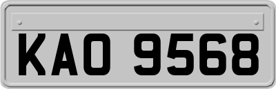 KAO9568