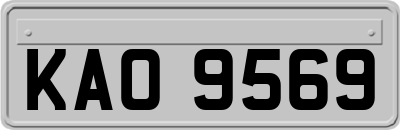 KAO9569