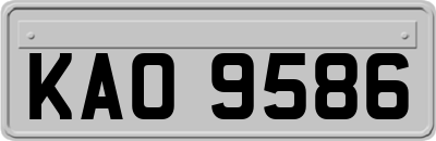 KAO9586