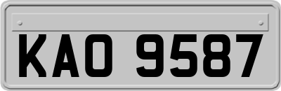 KAO9587